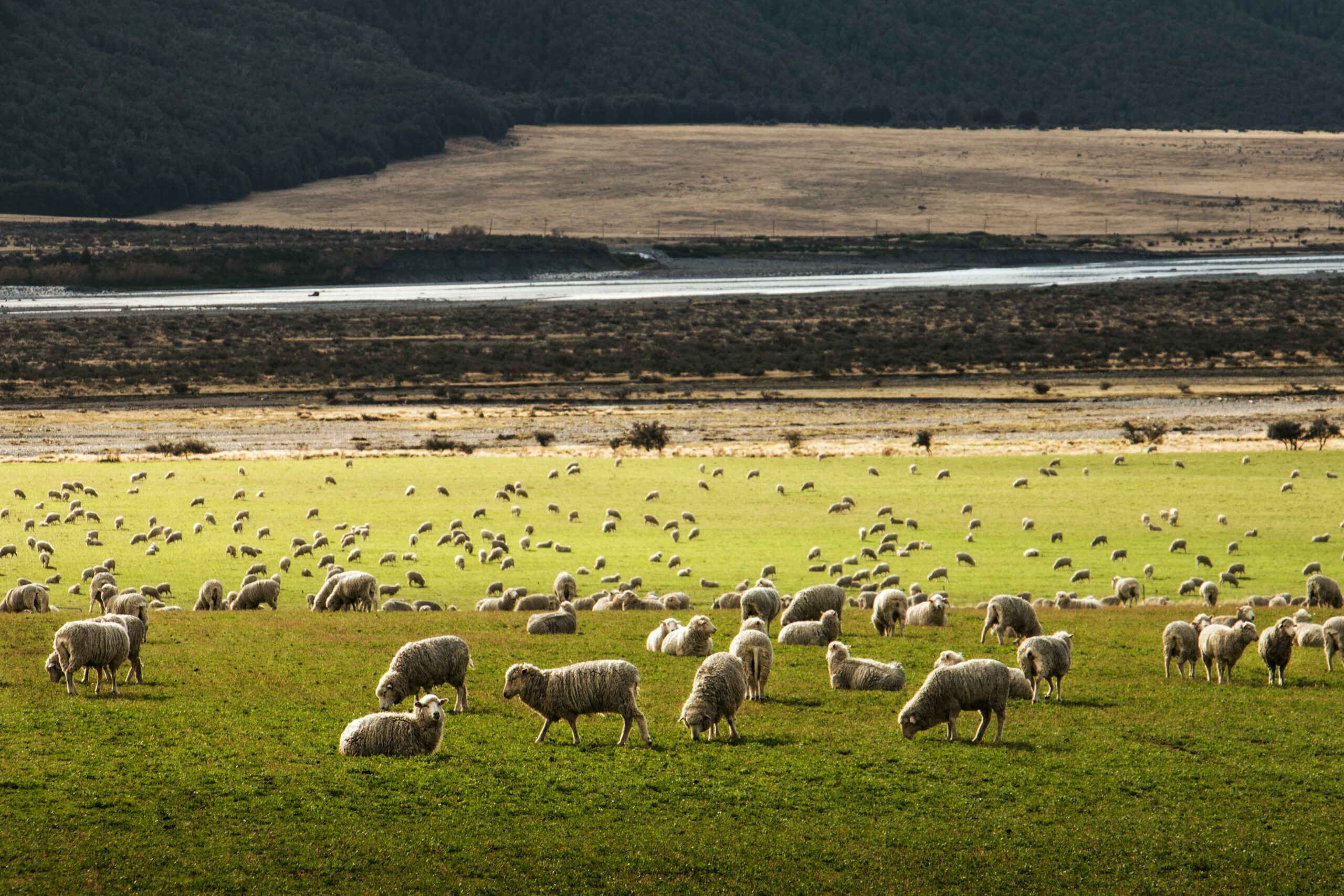 Soorten Fleece: Een Vergelijking Van Microfleece En Polar Fleece